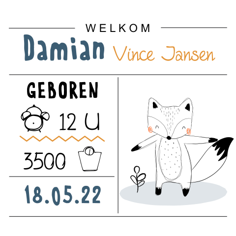 Vrolijk geboortekaartje vos voor jongen