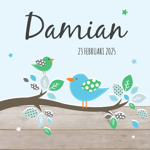 Vrolijk geboortekaartje jongen met vogel