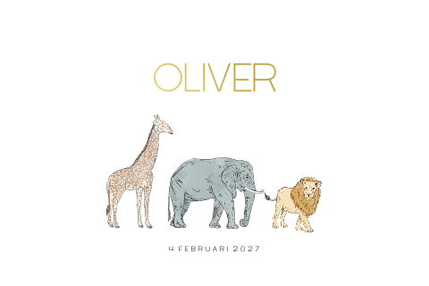 Geboortekaartje jongen met giraffe, olifant en leeuw