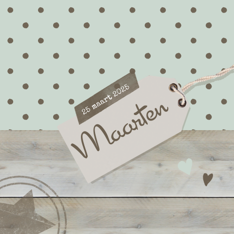 Lief steigerhout geboortekaartje jongen met pastelgroen