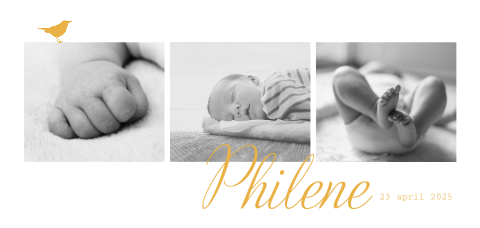 Stijlvol fotokaartje meisje met geel vogeltje