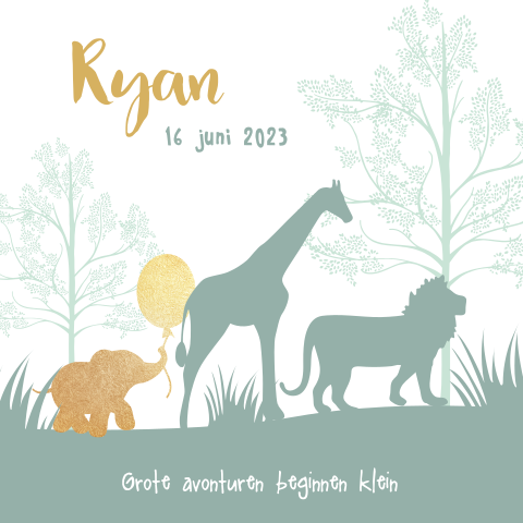 Hip silhouet geboortekaartje jongen met dieren