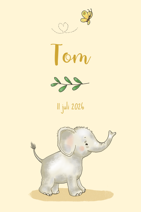 Lief geboortekaartje met olifant, vlinder en takjes - jongen