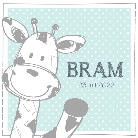 Vrolijk geboortekaartje met zwaaiende giraffe