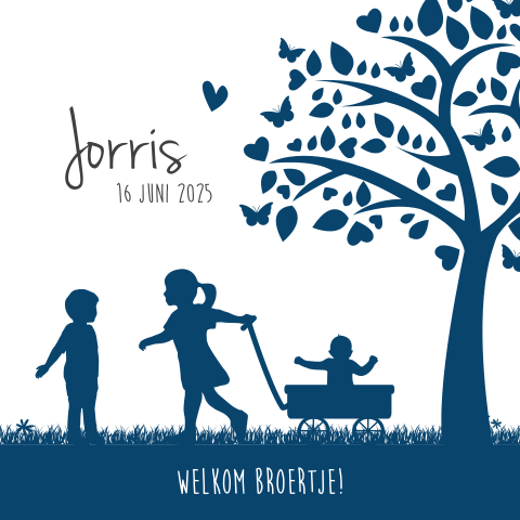 Geboortekaartje met silhouet broertje in de kar met grote broer en zus