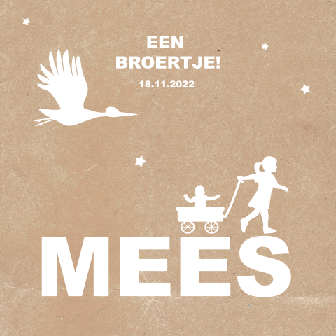 Lief geboortekaartje met silhouet van zus en broertje in een karretje