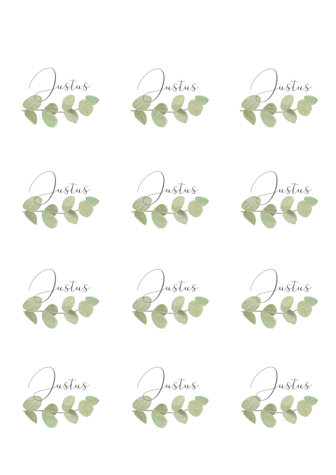 Runde weiße Tischkarte zur Hochzeit mit Eukalyptuszweig