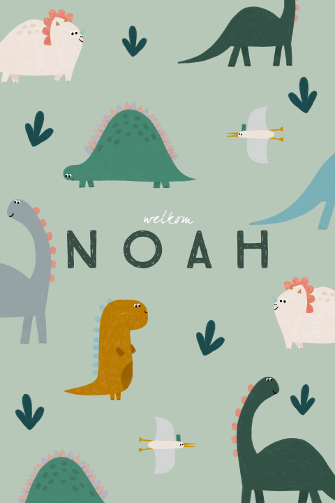 Grappig geboortekaartje met lieve dinosaurussen en vogels