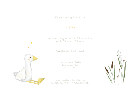 Babyborrelkaartje met gansje en vlinder