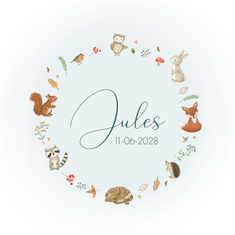 Schattig geboortekaartje voor jongen met bosdieren in een krans