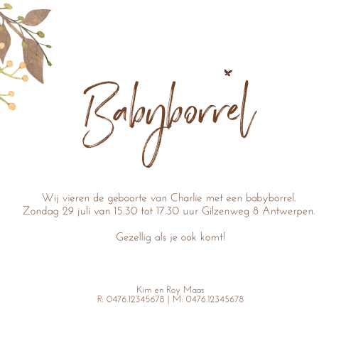 Babyborrelkaartje met takjes en vlinder