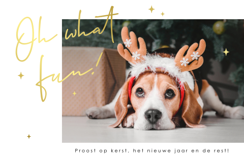 Hippe kerstkaart met foto en goudfolie details