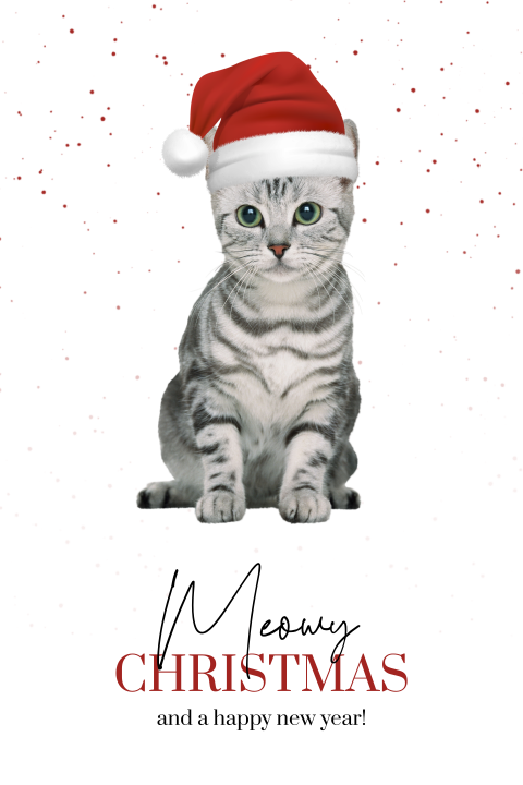 Grappige kerstkaart met kat