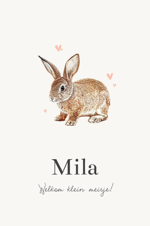 Lief babykaartje met illustratie van een konijntje