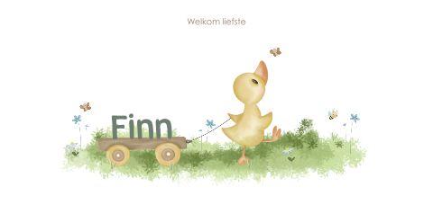 Schattig geboortekaartje met eendje en karretje in bloemenveld