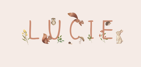Lief geboortekaartje met grote letters en kleine bosdiertjes