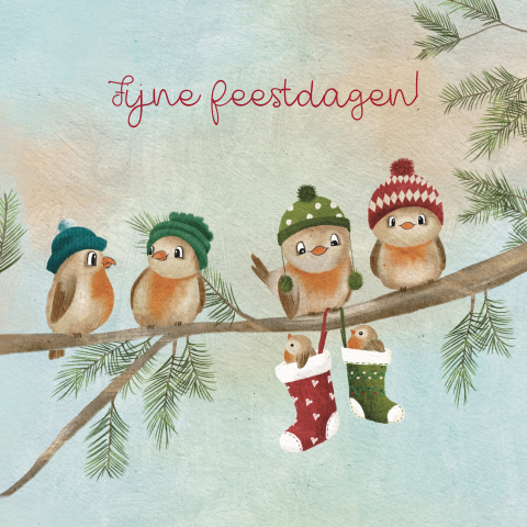 Kerstkaart met schattige vogeltjes en kerstsokken