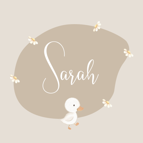 Lief geboortekaartje meisje met klein eendje en madeliefjes