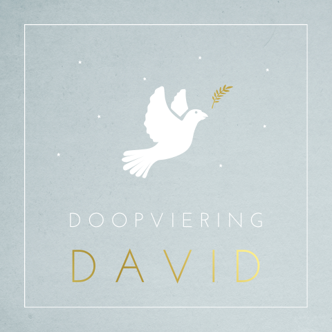 Stijlvol doopkaartje met duif, gouden naam en lichtblauwe achtergrond