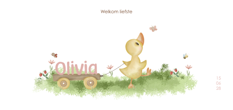 Lief geboortekaartje meisje met eendje en karretje in bloemenveld