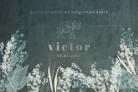 Origineel geboortekaartje met olifant en zilverfolie