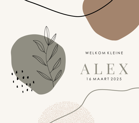 Trendy geboortekaartje met organische vormen, lijnen en takje