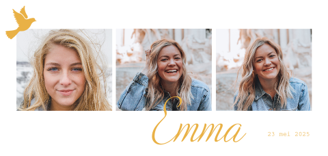 Panorama vormsel kaart met foto's, duifje en okergeel