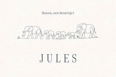 Lief geboortekaartje met lijntekening van olifanten