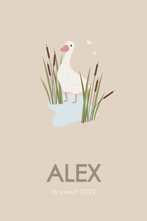 Poster met gans