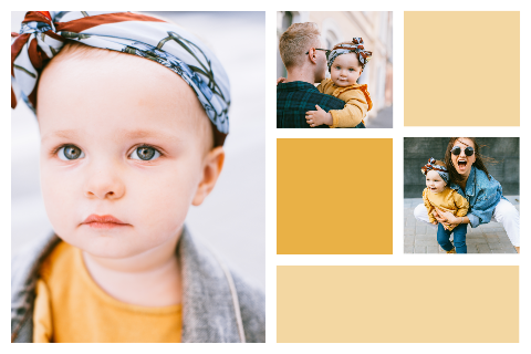 Liggende fotokaart met gekleurde vlakjes