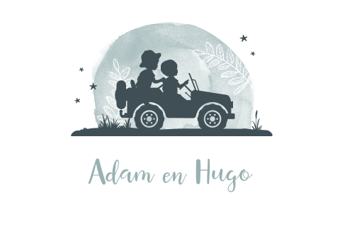 Stoer tweeling geboortekaartje met silhouet van jongens in jeep
