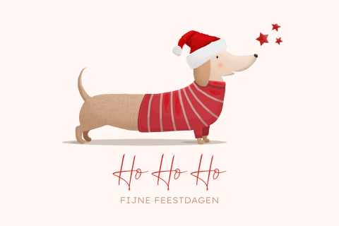 Schattige kerstkaart met teckel in rood pakje en sterren