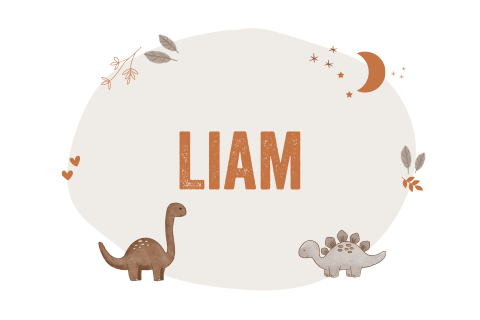 Lief geboortekaartje met dino's en de maan