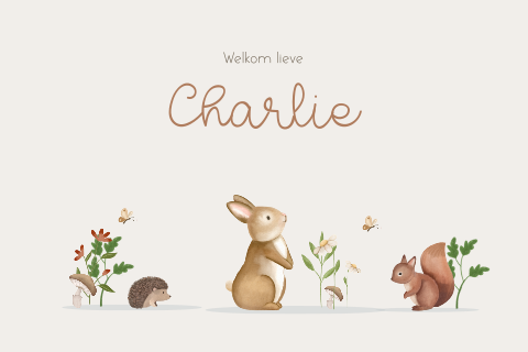 Lief geboortekaartje met vrolijke bosdieren