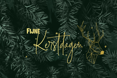 Stijlvolle goudfolie kerstkaart met kersttakjes en rendier