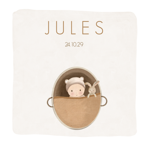 Geboortekaart met baby in mandje voor jongen