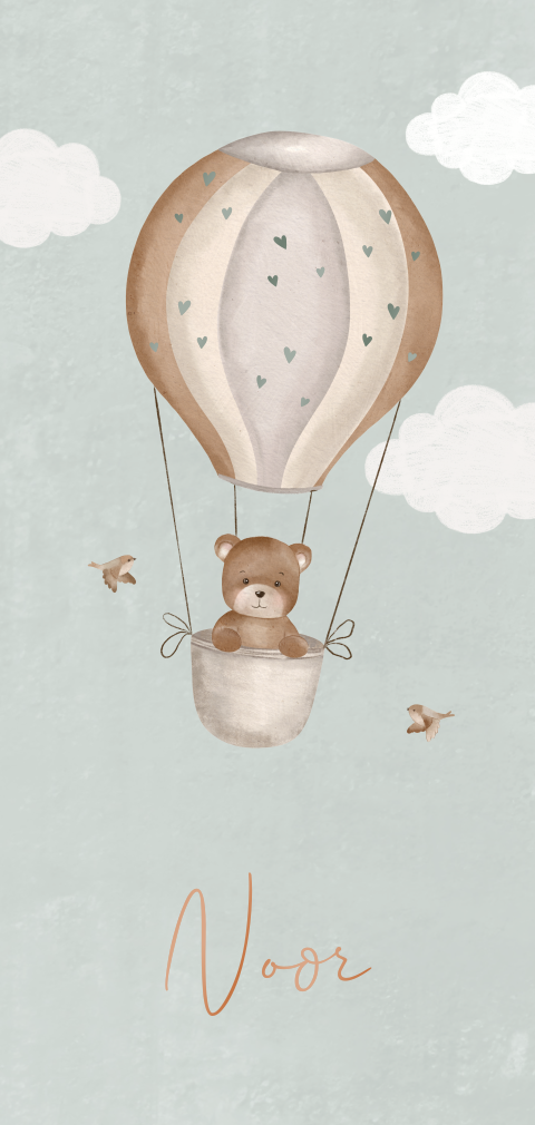 Geboortekaartje jongen met beertje in luchtballon met hoogglans