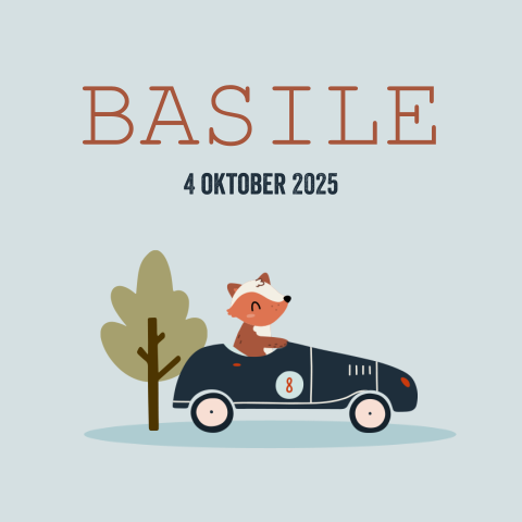 Geboortekaartje met vos in race auto