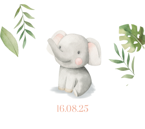 Sticker in hartjes vorm met schattig olifantje
