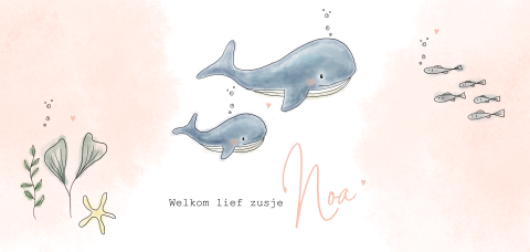 Lief geboortekaartje zusje illustratie walvis en roze aquarel