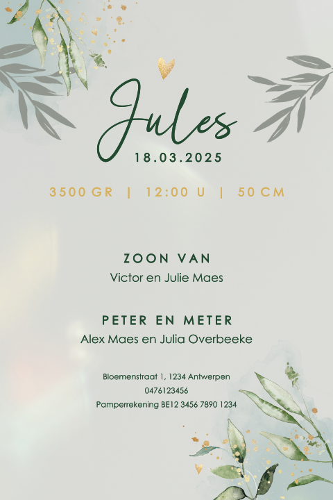 Geboortekaartje van acrylglas met eucalyptus takjes