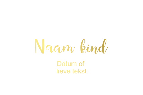 Foliedruk - Dubbel liggend geboortekaartje - Vouw links