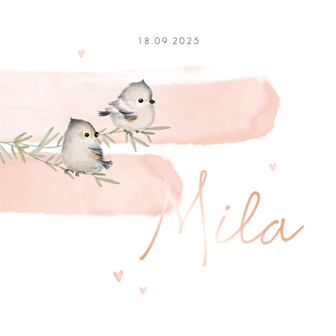 Lief geboortekaartje met vogeltjes en waterverf