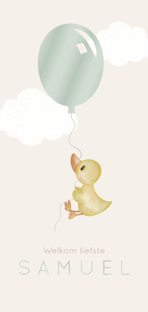 Lief geboortekaartje jongen met eendje aan ballon in hoogglans