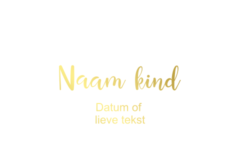 Foliedruk - Dubbel liggend geboortekaartje