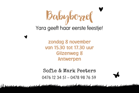 Babyborrel uitnodiging met vlindertje