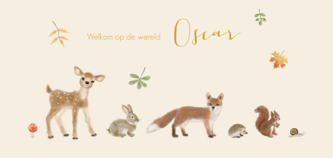 Geboortekaartje met schattige bosdieren en bladeren