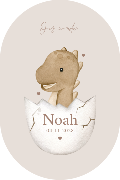 Schattig geboortekaartje met baby dino uit een ei