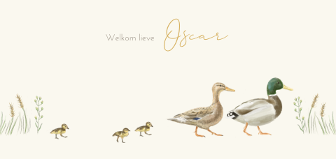 Lief geboortekaartje met eenden familie voor derde kindje