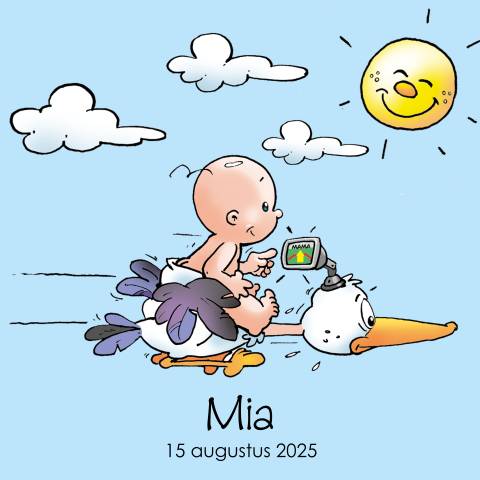 Illustratief babykaartje met baby op navigatievogel